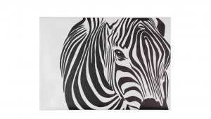 obraz Zebra